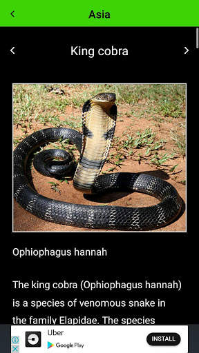 World of Snakes screenshot 4