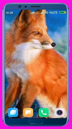 Fox Wallpaper Best 4K screenshot 5