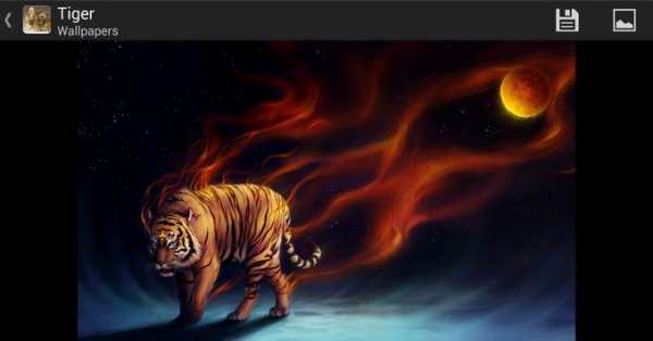 Tigers - HD Wallpapers 8 تصوير الشاشة
