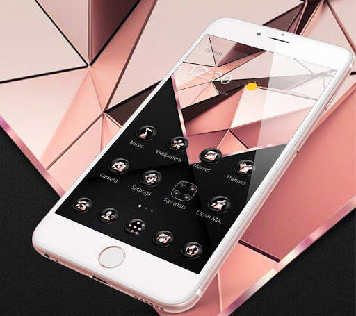 Rose Gold Business Black Theme screenshot 3