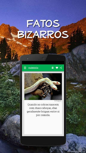 Curiosidades Animais Incríveis screenshot 5