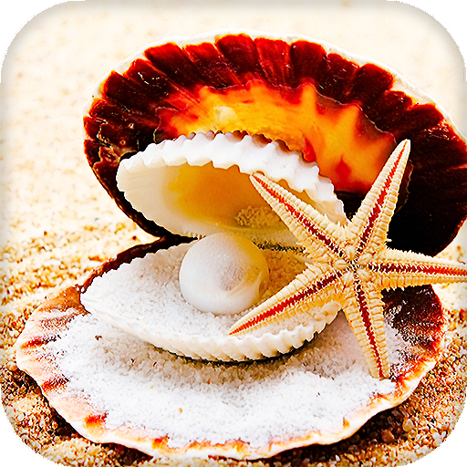 Seashells Live Wallpaper (Backgrounds) icon