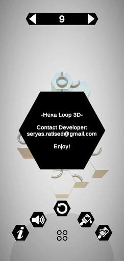 Hexa Loop 3D Puzzle screenshot 3