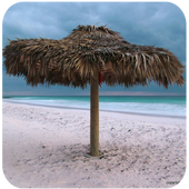 Island Life icon