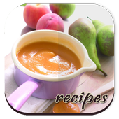 Baby Food Recipes Tips icon
