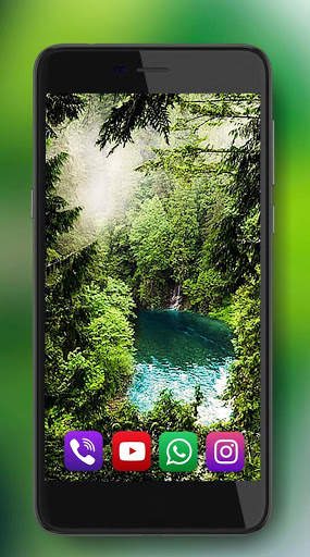 Forest Gallery Live Wallpaper screenshot 3