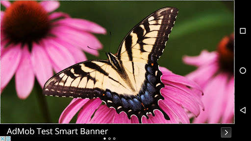 Butterfly Wallpapers screenshot 9