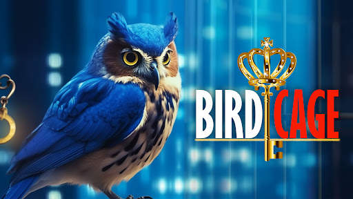 Escape Games - Bird Cage screenshot 1