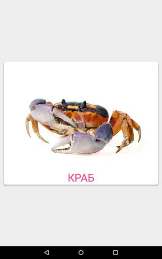 Карточки Домана screenshot 11