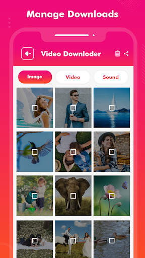 VidPro - All Video Downloader screenshot 5