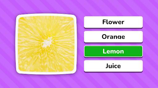 Zoom Quiz: Close Up Pics Game screenshot 6