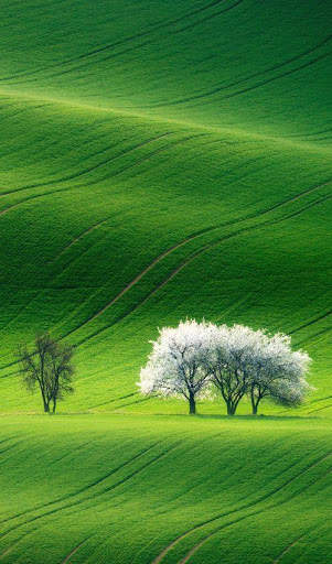 Landscape Wallpaper screenshot 12