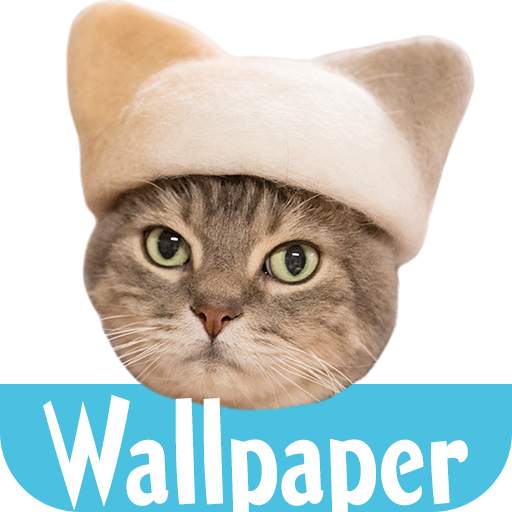 Wallpaper: Cats' Hair Hats 2.1.16.18