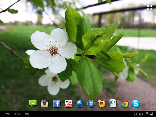 Spring Flowers Live Wallpaper screenshot 6