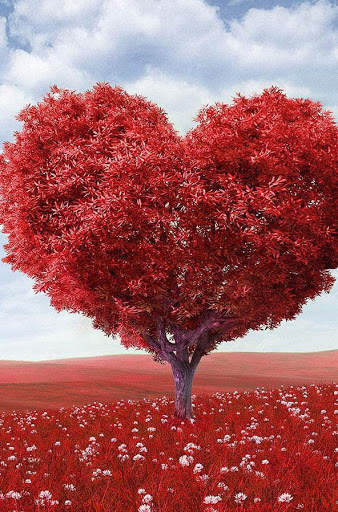 Romantic Love Wallpaper screenshot 3