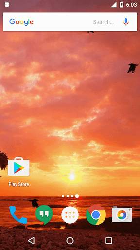 Sunset Live Wallpaper - Flying Bird LWP screenshot 2