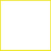 Zoom Cloud Meetings Guide icon
