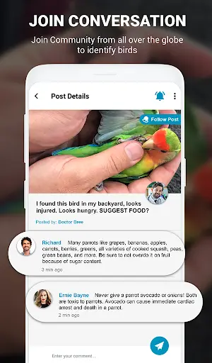 Birds Identifier App by Photo, Bird ID Camera 2020 screenshot 6