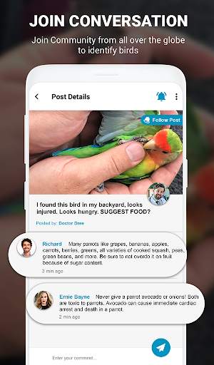 Birds Identifier App by Photo, Bird ID Camera 2020 screenshot 6