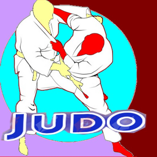 Judo icon