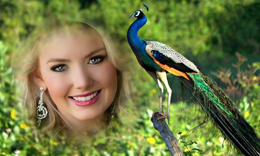 Peacock Photo Frames screenshot 2