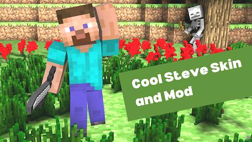 Steve Mod Skins for Minecraft screenshot 3
