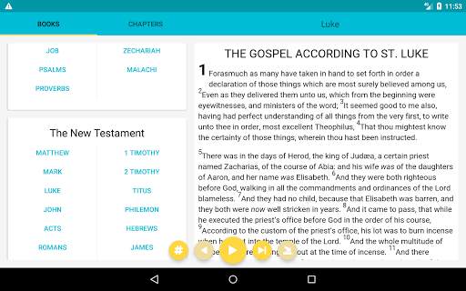 Audio Bible screenshot 7