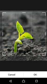 DP for Whatsapp screenshot 5