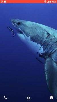 Shark Predator Attack LWP screenshot 1