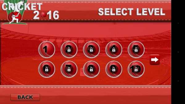 Cricket World Cup Bus screenshot 2