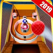 Skee Hole Flick Ball 2019 1.0