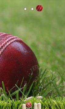 Cricket Ball screenshot 3