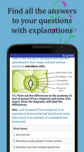 NCERT BIO EXEMPLAR 11(OFFLINE) screenshot 7