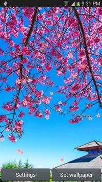 Sakura Live Wallpaper screenshot 5