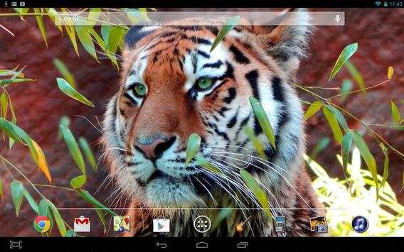 Tiger Live Wallpaper screenshot 3