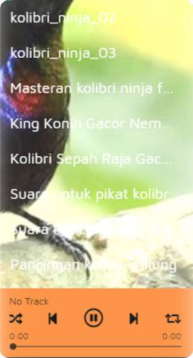 Suara Burung Kolibri screenshot 1
