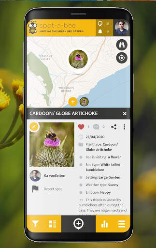 Spot-a-Bee  | SPOTTERON screenshot 4