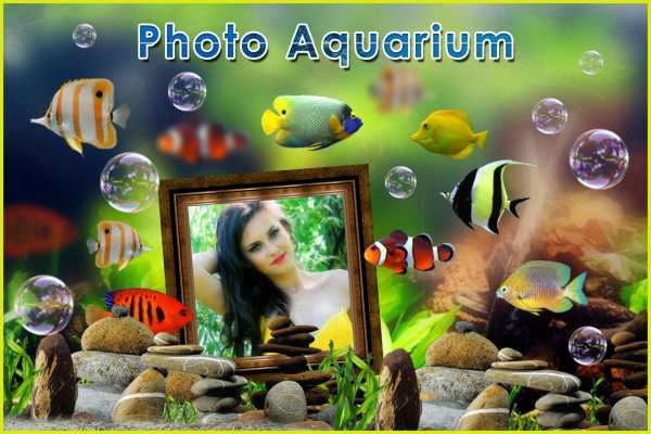 Photo Aquarium Live Wallpaper. screenshot 9