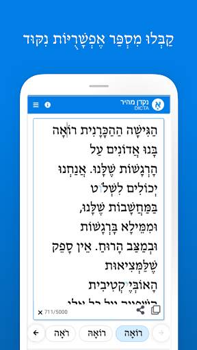 NAKDAN - add nikud (vocalization) to Hebrew text screenshot 2