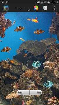 Aquarium Wallpapers screenshot 1