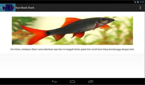 IKAN HIAS screenshot 11