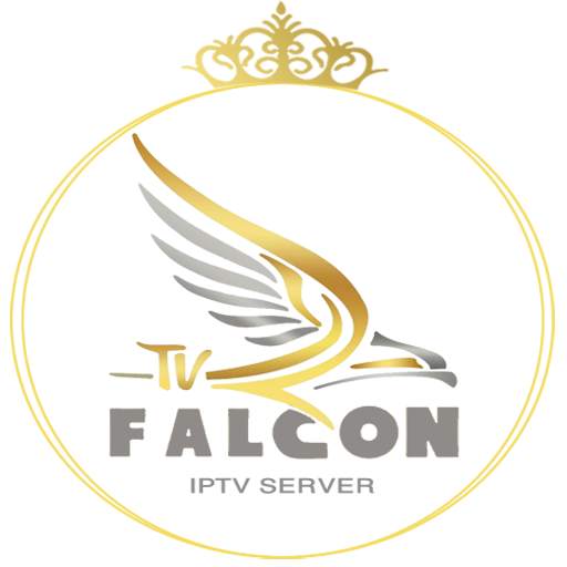 Falcon pro player 1.0