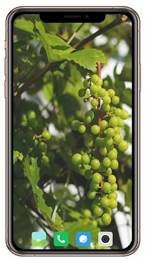Fruit Trees Wallpaper HD screenshot 9