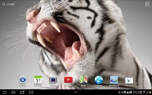Tiger Live Wallpaper screenshot 12