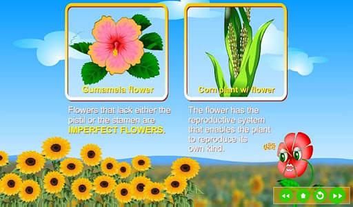 Reproduction in Plants скриншот 7