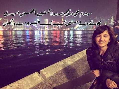 إطارات الشعر في صور 9 تصوير الشاشة