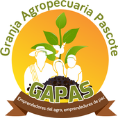 GAPAS Lite icon