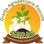 GAPAS Lite 3.0