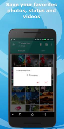 AlphaFile - WhatsApp File Cleaner & Status saver screenshot 4