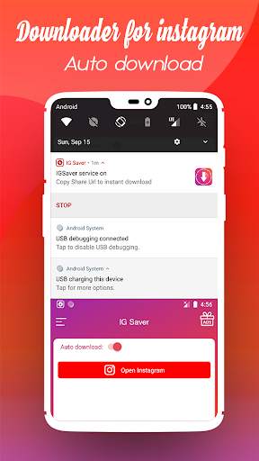 IGSaver screenshot 2